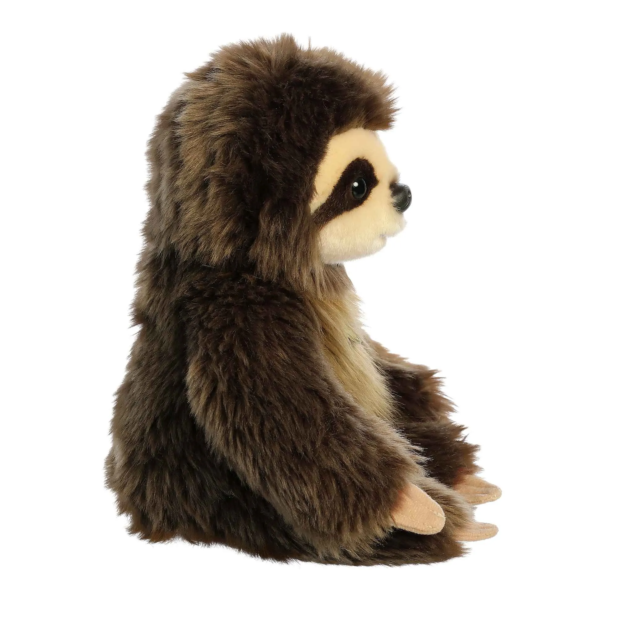 Baby Sloth