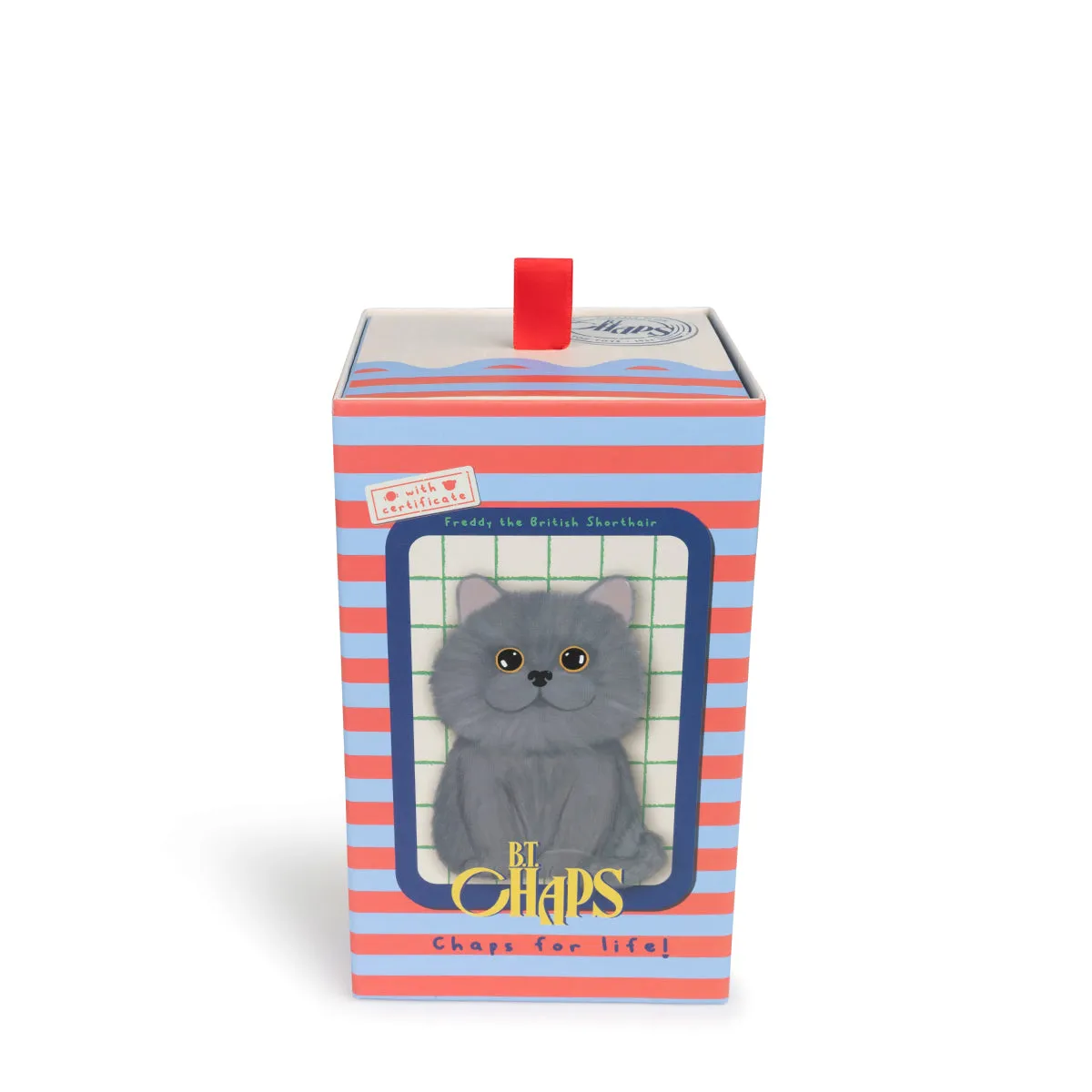 B.T. Chaps  Freddy The British Shorthair Floppy in Giftbox - 17cm - 6.5
