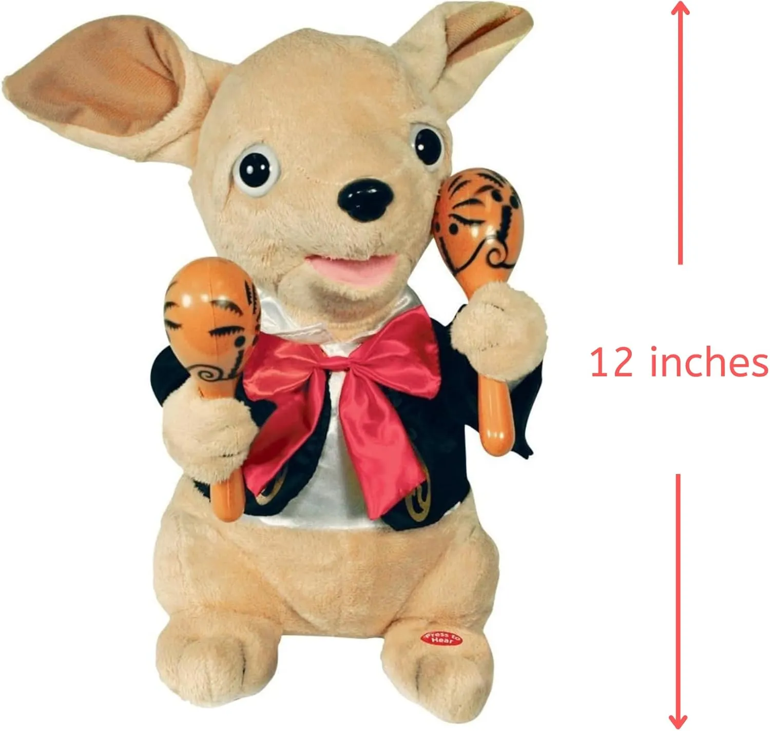 Chuey Bamba Singing Chihuahua