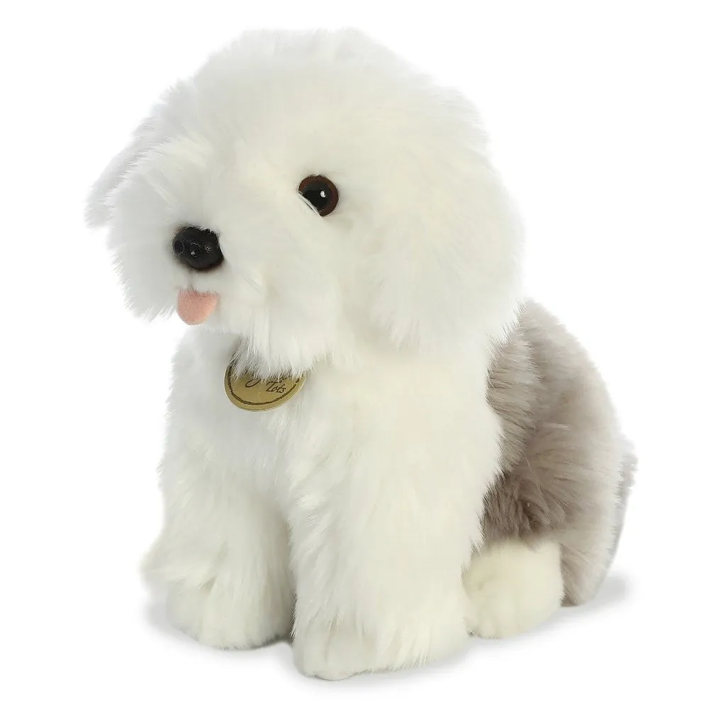 English Sheepdog Pup