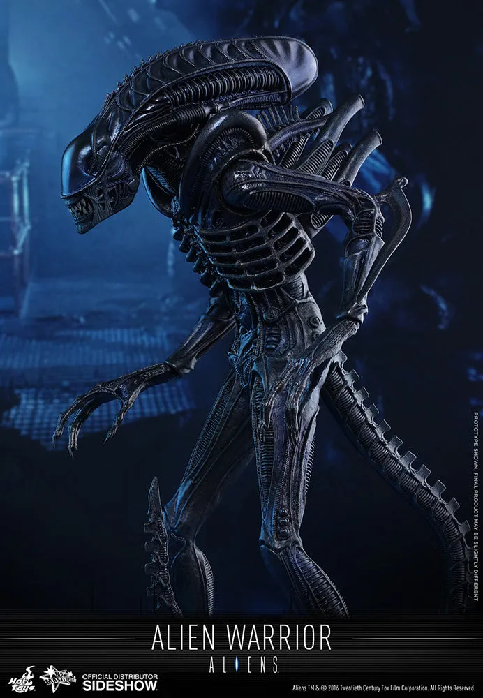 Hot Toys 1/6 Aliens Alien Warrior Sixth Scale MMS354