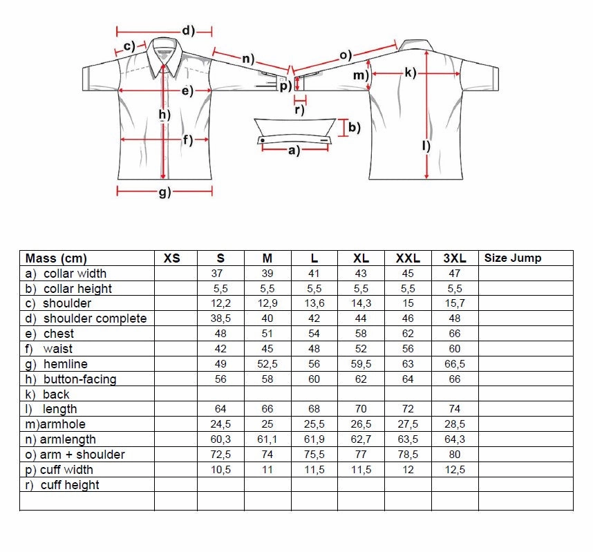 LeAnn Ladies Western Blouse