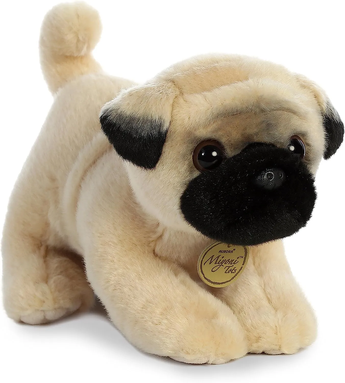Pug Pup