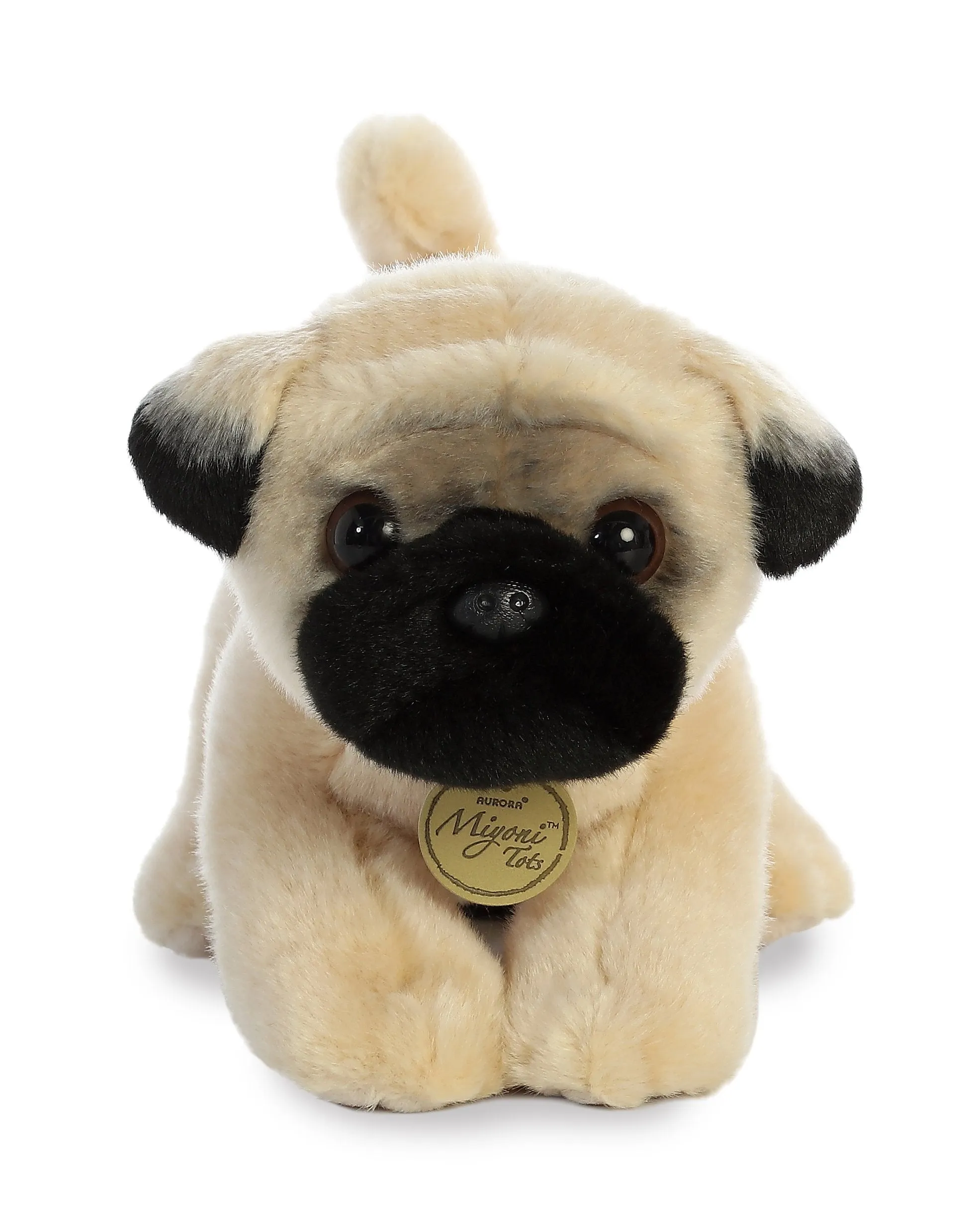 Pug Pup